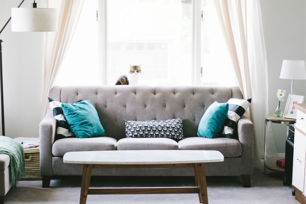 living room holiday home essentials include this grey sofa with blue pillows, well lit with overhead lamp, wooden table, green throw and drawers for storage.